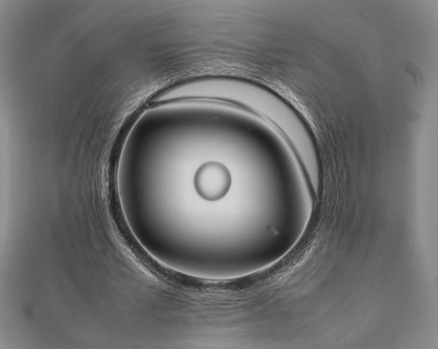 X0000112470581200908241235