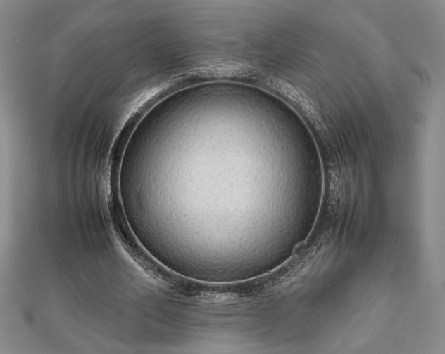 X0000112470582200908241235