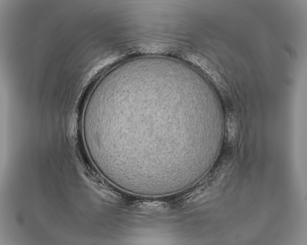 X0000112470583200908241235