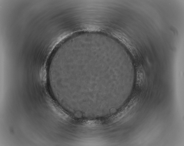 X0000112470584200908241235