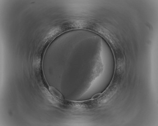 X0000112470585200908241235