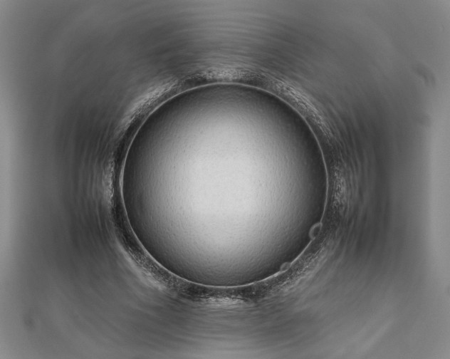 X0000112470586200908241235