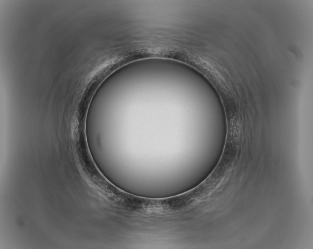 X0000112470587200908241235