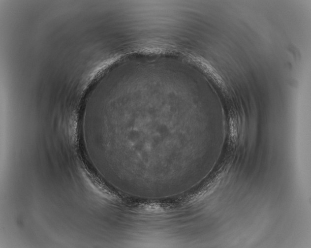 X0000112470588200908241235