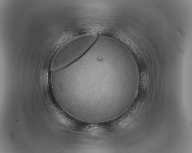 X0000112470589200908241235