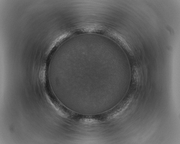 X0000112470590200908241235