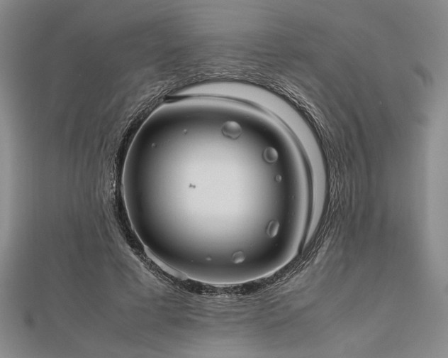 X0000112470593200908241235