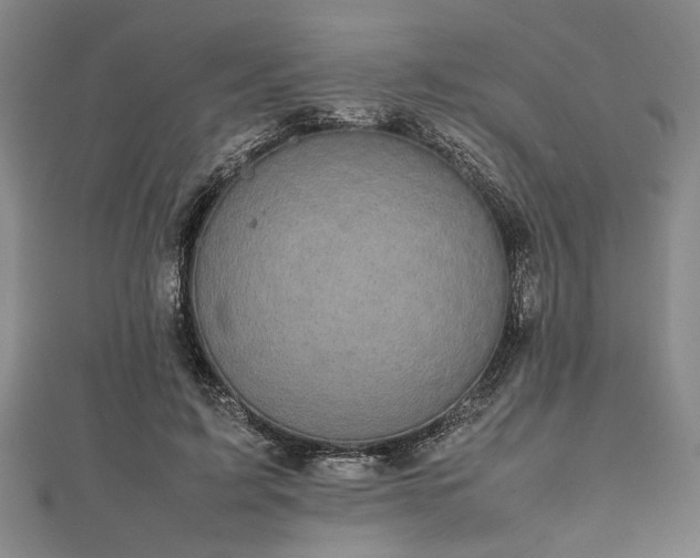 X0000112470595200908241234