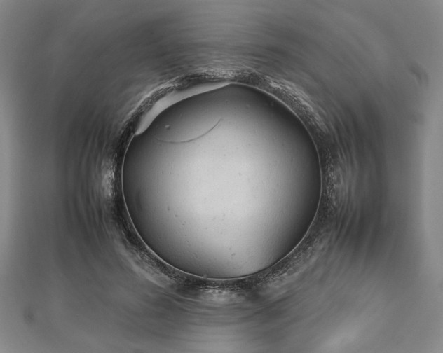 X0000112470596200908241234