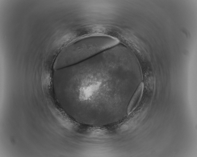 X0000112470597200908241234