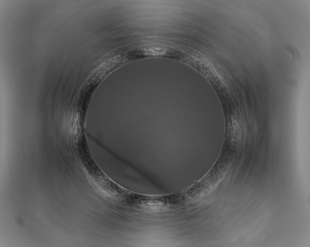 X0000112470598200908241234