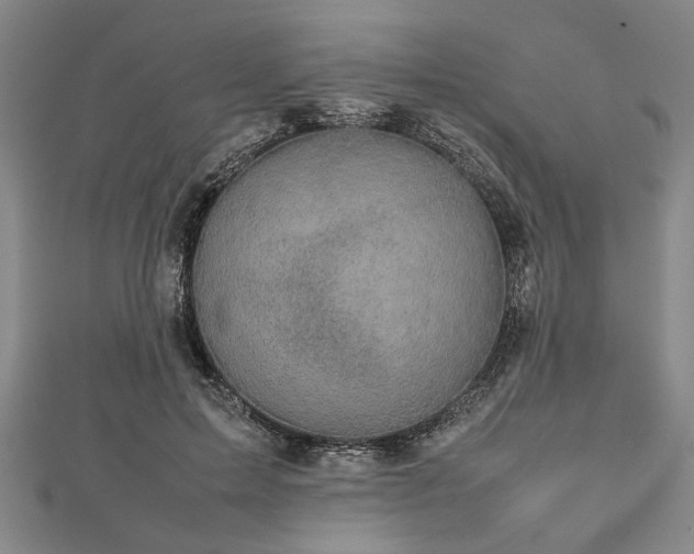 X0000112470599200908241234