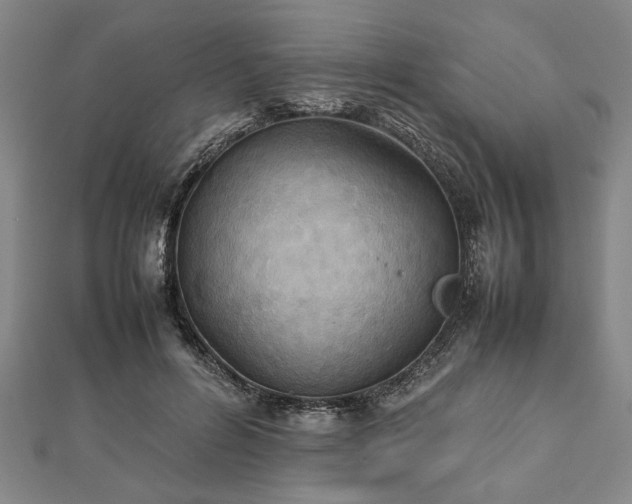 X0000112470600200908241234