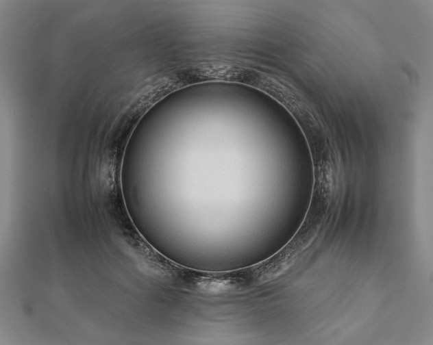 X0000112470602200908241234