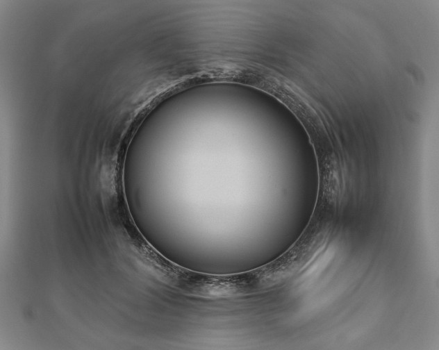 X0000112470604200908241234