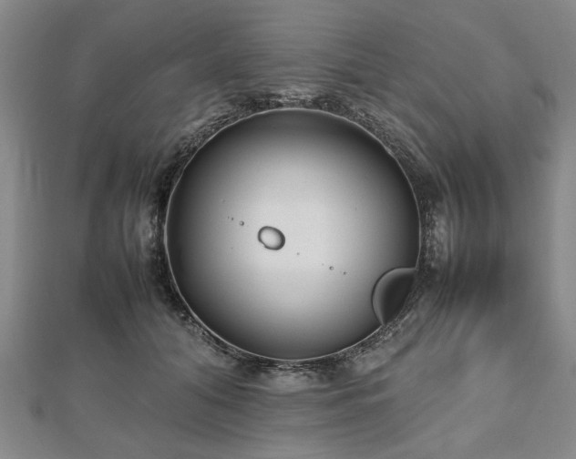 X0000112470608200908241234