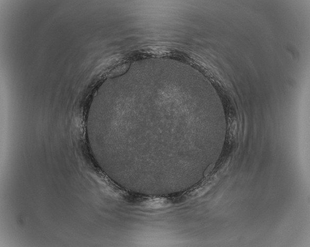 X0000112470609200908241234