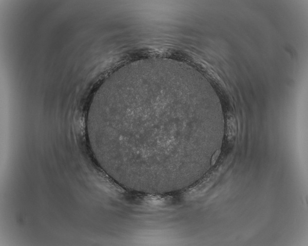 X0000112470613200908241234