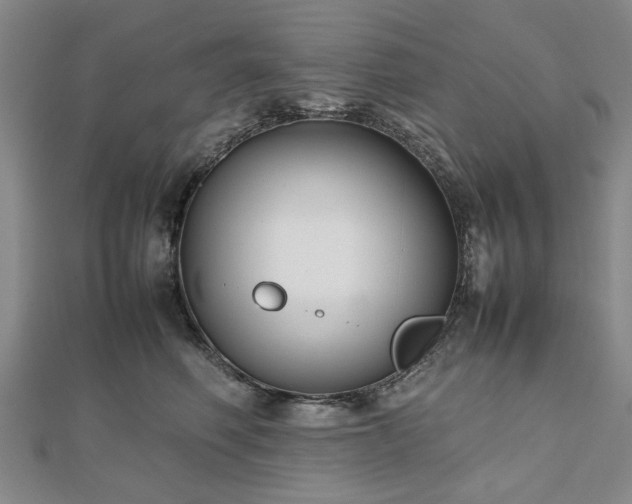 X0000112470614200908241234