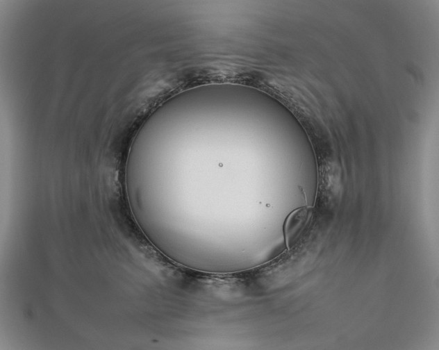 X0000112470615200908241234