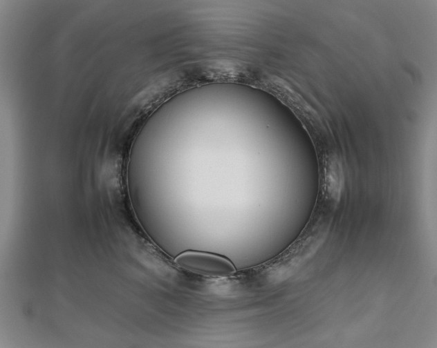 X0000112470616200908241234