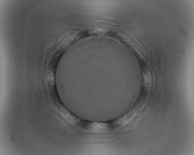 X0000112470617200908241234