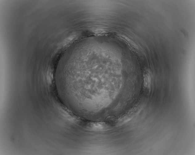 X0000112470618200908241234