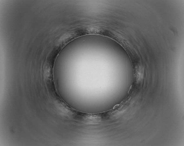 X0000112470619200908241234