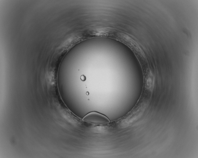 X0000112470620200908241234