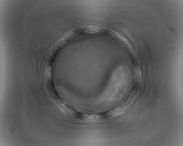 X0000112470621200908241234