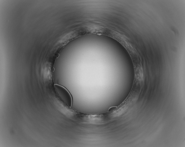 X0000112470622200908241234