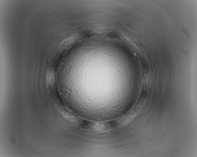 X0000112470623200908241234