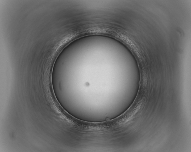 X0000112470625200908241233