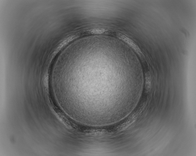 X0000112470626200908241233