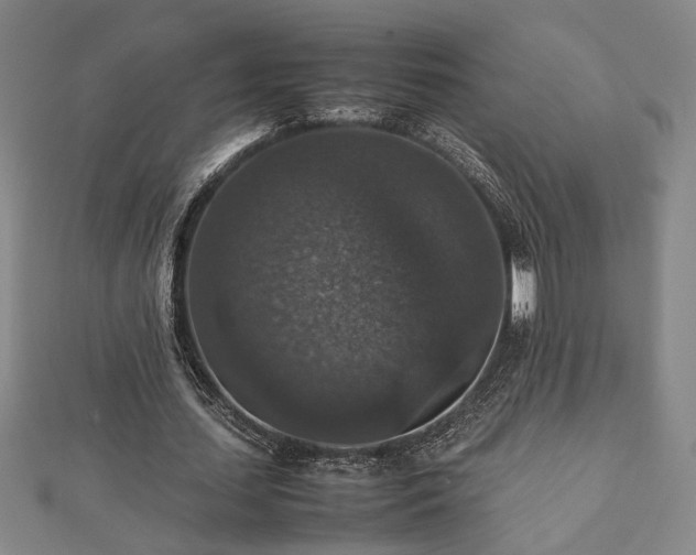 X0000112470627200908241233