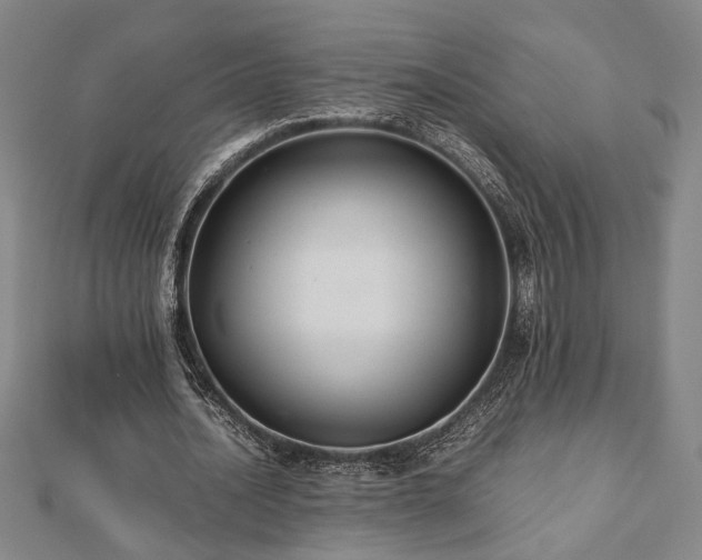 X0000112470628200908241233