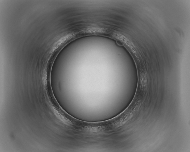 X0000112470629200908241233