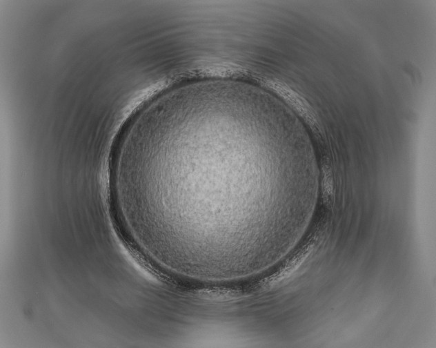 X0000112470630200908241233