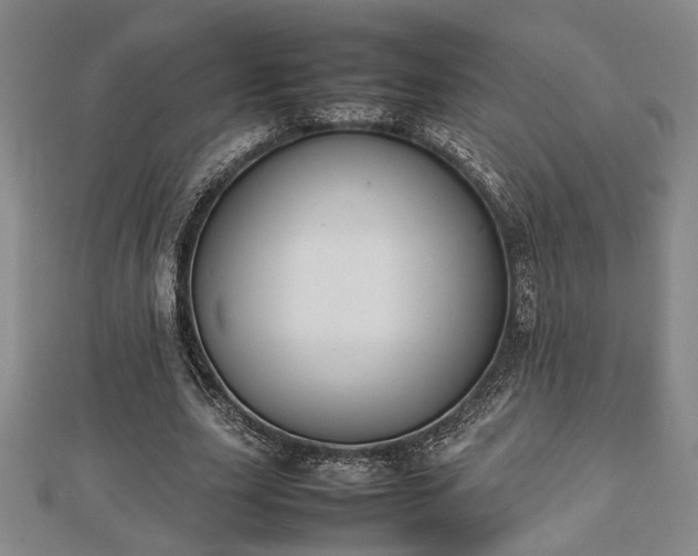 X0000112470631200908241233