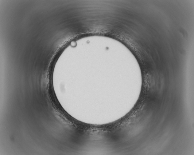 X0000112470632200908241233