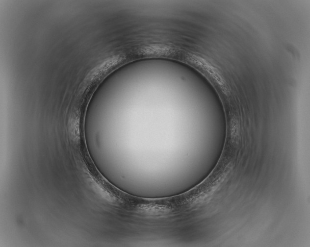 X0000112470633200908241233