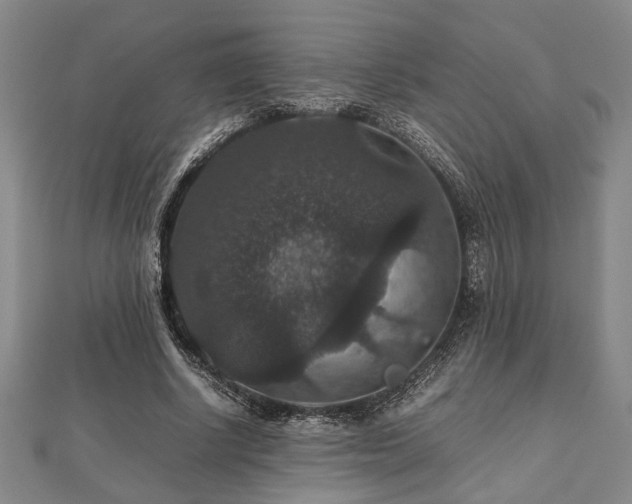 X0000112470634200908241233