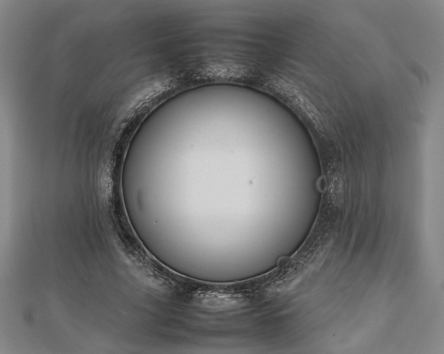 X0000112470635200908241233