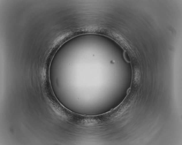 X0000112470636200908241233