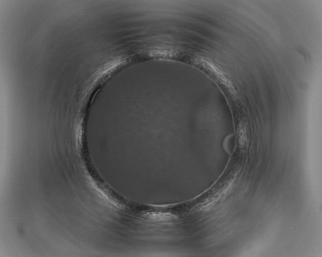 X0000112470637200908241233