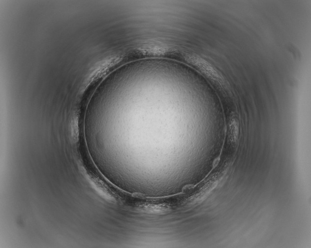 X0000112470638200908241233