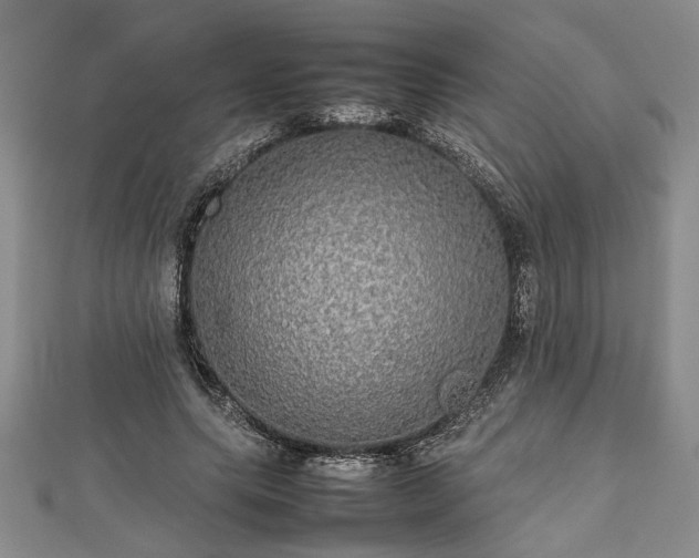 X0000112470639200908241234