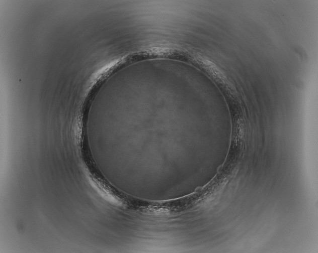 X0000112470640200908241234