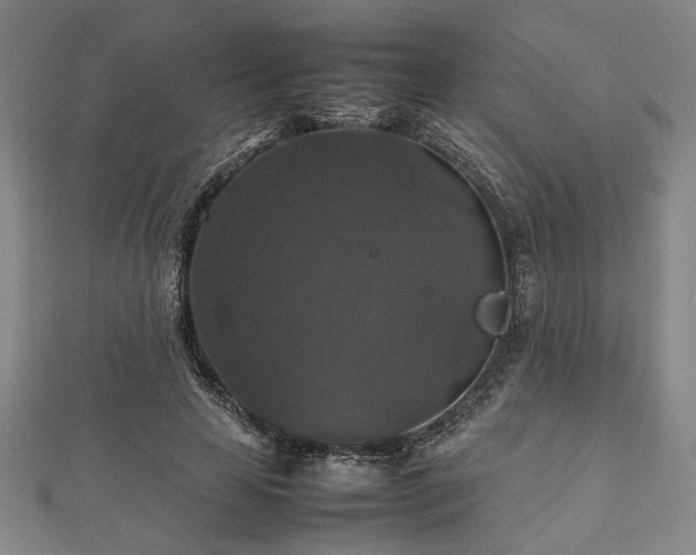 X0000112470641200908241234