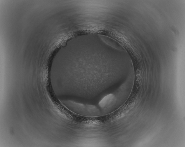 X0000112470642200908241234